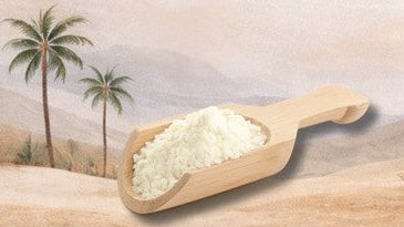 Wooden scoop filled with camel milk powder against a desert landscape.